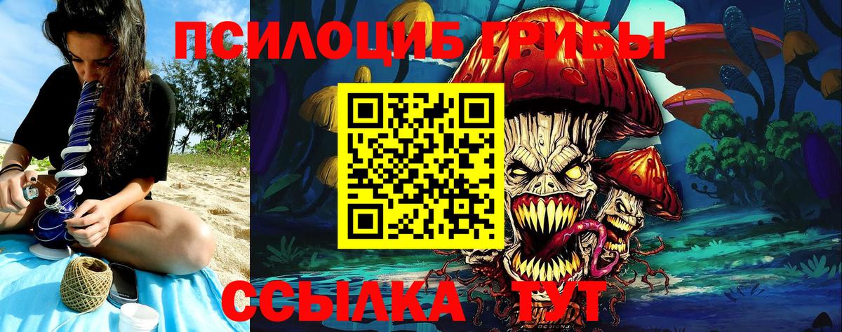Галлюциногенные грибы Psilocybine cubensis  Вход с VPN  Новозыбков 