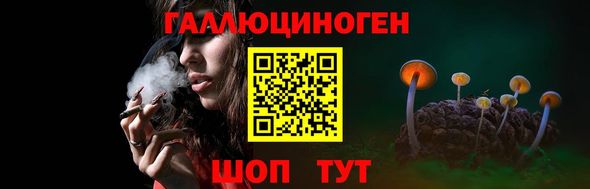 Псилоцибиновые грибы MAGIC MUSHROOMS Новозыбков